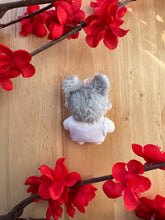 Load image into Gallery viewer, Alien Stage Mini Plushies & Capes