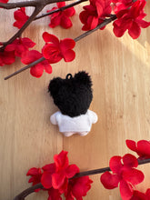 Load image into Gallery viewer, Alien Stage Mini Plushies & Capes