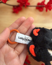 Load image into Gallery viewer, Amo Plush