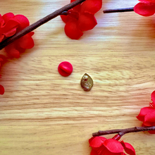 Load image into Gallery viewer, Hell's Mini Pin Mic Back