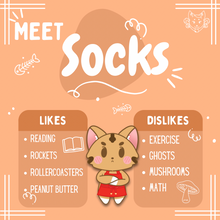 Load image into Gallery viewer, Meet Socks