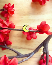 Load image into Gallery viewer, Moon Mini Pin