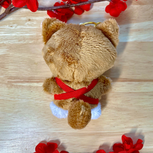 Load image into Gallery viewer, Socks Plush Back