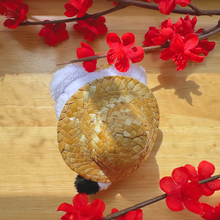 Load image into Gallery viewer, Xie Lian Plush back