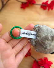 Load image into Gallery viewer, Zanka Plush