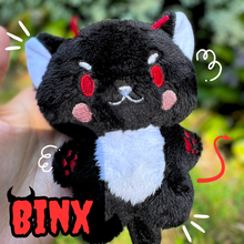 Load image into Gallery viewer, Binx Plush Forward
