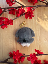 Load image into Gallery viewer, Ivan Plush With Cape On Back
