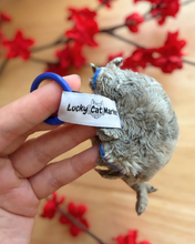 Load image into Gallery viewer, Tamsy Plush
